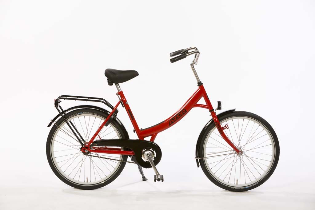 Azor Antivanda Hoge Veluwe 24 Inch Huurfiets